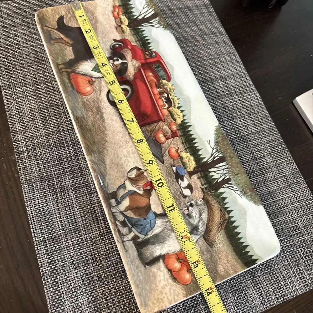 Pier 1 Imports Ironstone 14